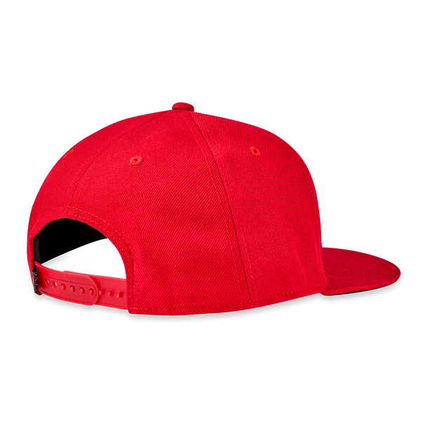 ALPHA Icon Snap Back Hat - View 21
