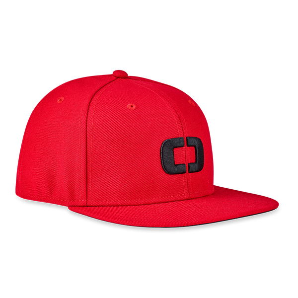 ALPHA Icon Snap Back Hat - View 11