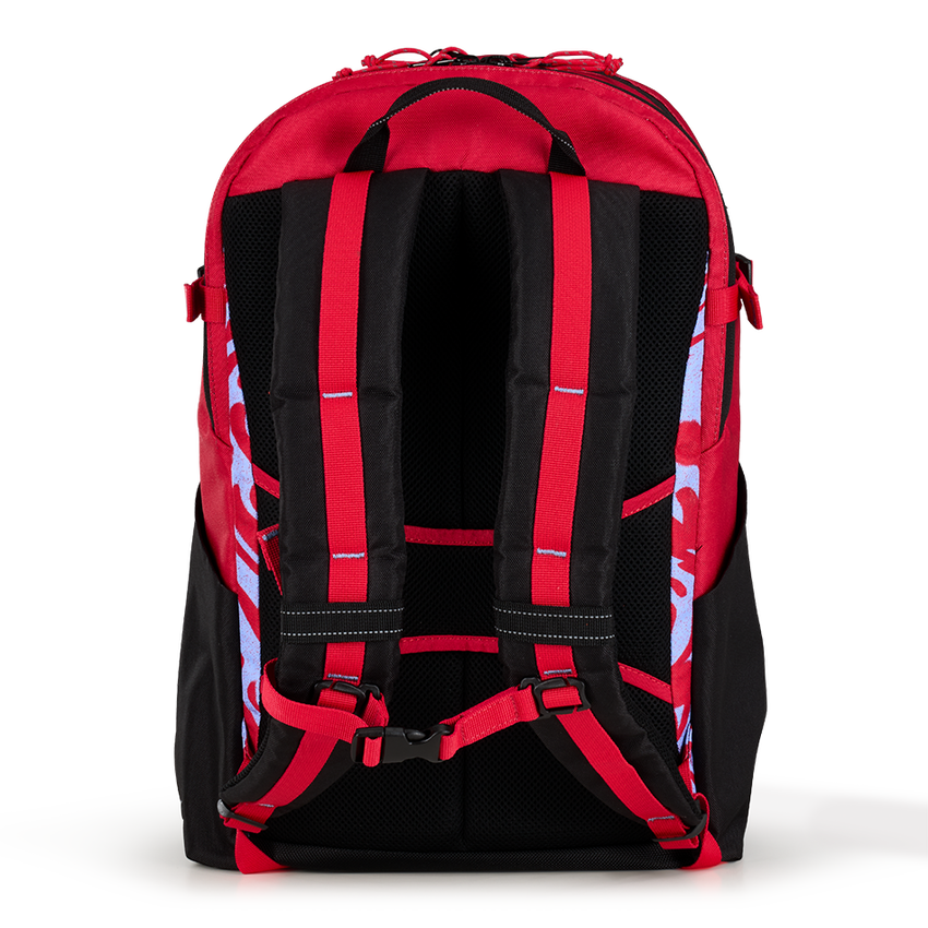 ALPHA 20L Backpack - View 4