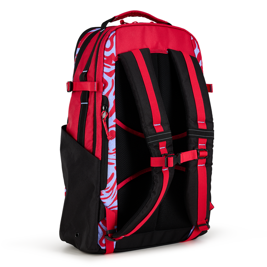 ALPHA 25L Backpack - View 4