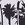 Aloha Palms